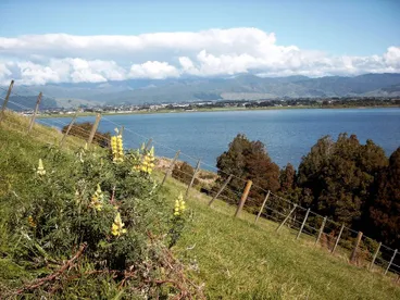 Lake Horowhenua Image: Lake Horowhenua