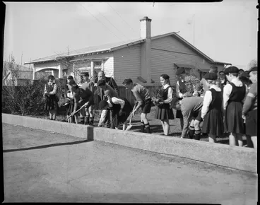 "Tree Planting Made Easy" Image: "Tree Planting Made Easy"