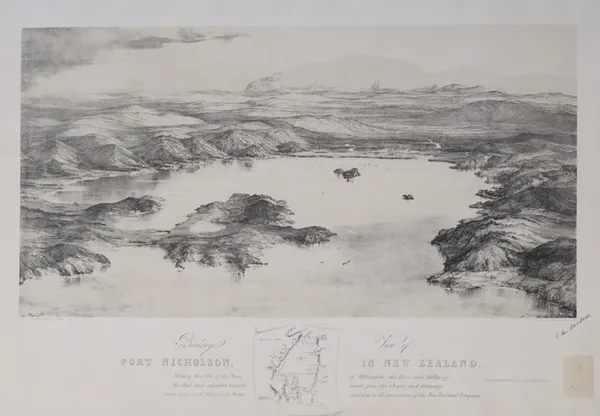 Birdseye view of Port Nicholson, in New Zealand, shewing the site of the town of Wellington, the river and valley of the Hutt and adjacent country.