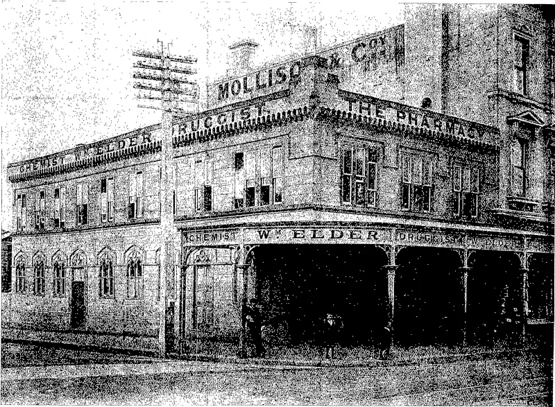 Untitled Illustration