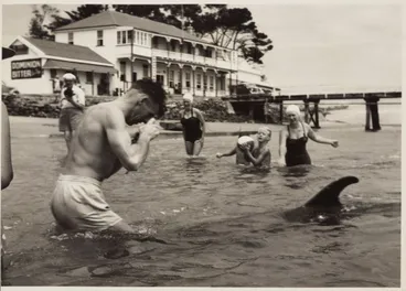 Image: Opo the dolphin, Opononi