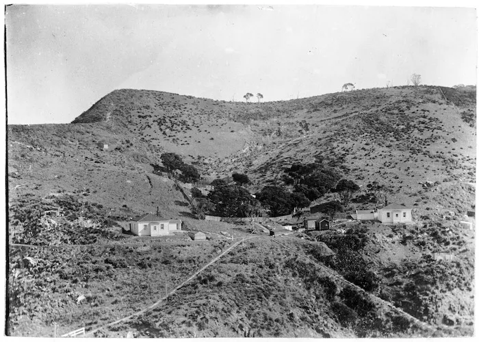 Cuvier Island, east of Coromandel Peninsula
