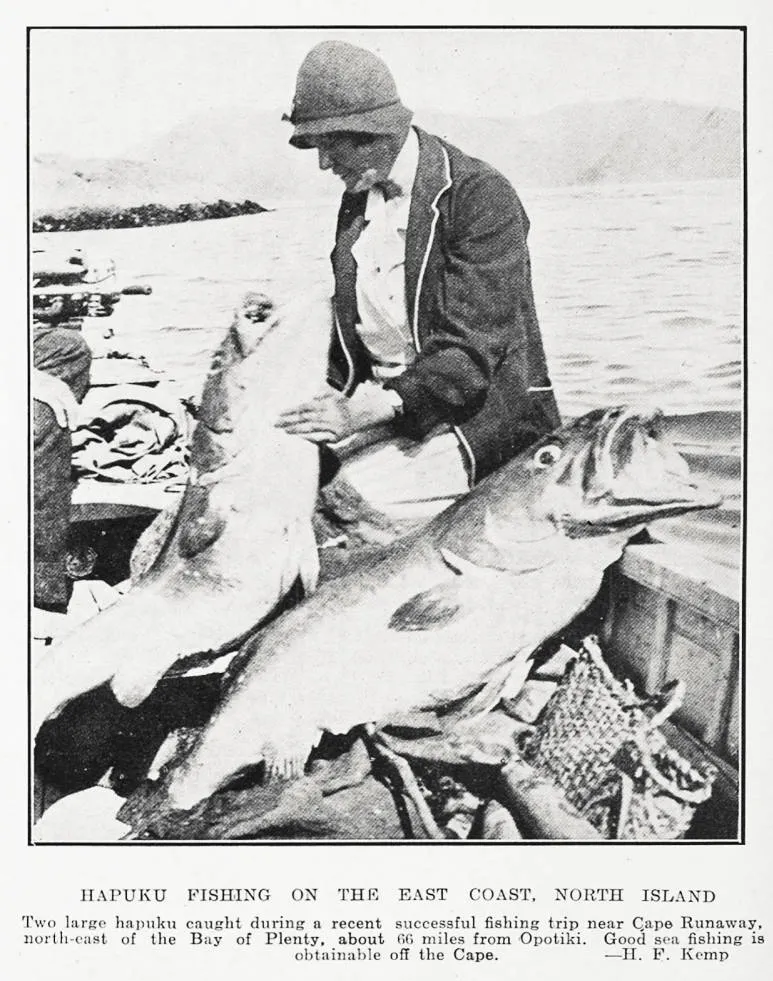 Hapuku fishing on the East Coast, North Island
