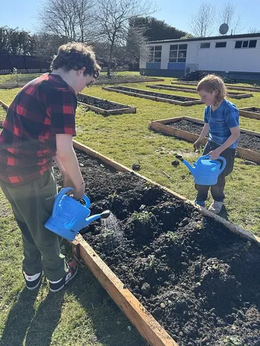 Image: The first plants!