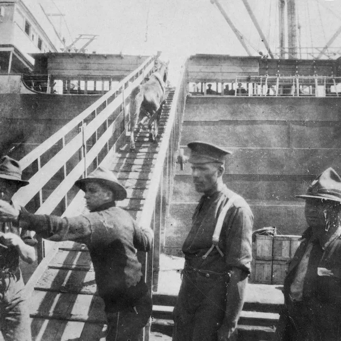 Soldiers suprvising horses being loaded onto a transport