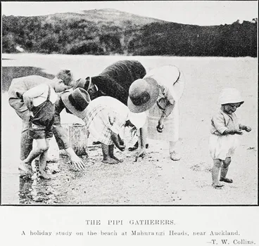 Image: The Pipi Gatherers