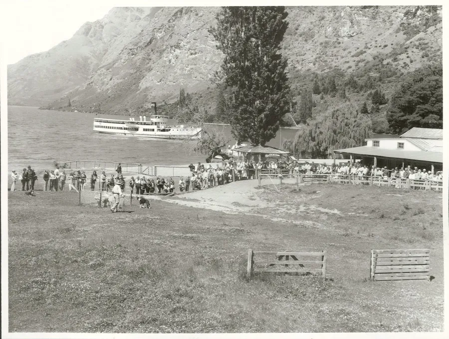 Agriculture - Sheep - Stations