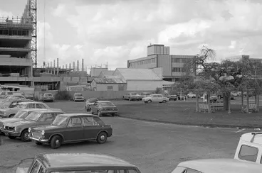 Image: Ward Street recreational area