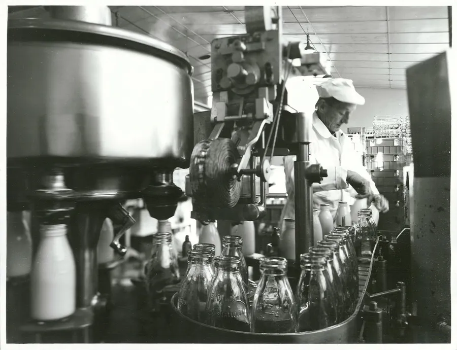 Food - Milk Department