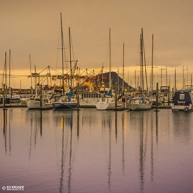 Tauranga New Zealand