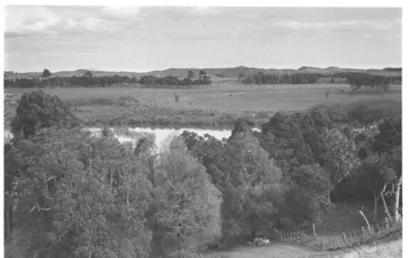 Image: Source of Hokio Stream, behind weir, 1977