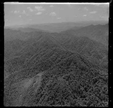 Image: Waioeka Gorge, Bay of Plenty
