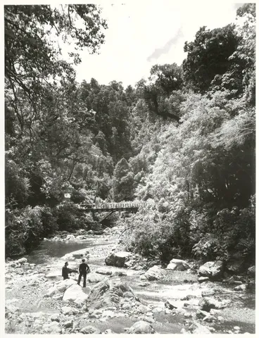 Image: Orongorongo River