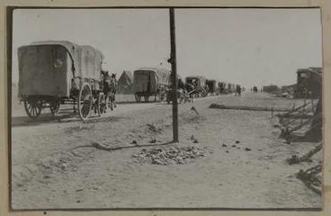 Image: String of Horse Ambulances.