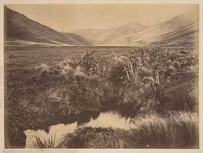 Canterbury. Gebbes Flat, Valley Scene.