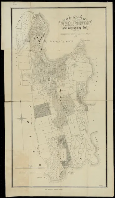 Image: Map of the city of Wellington and surrounding districts / drawn & published by F.H. Tronson.