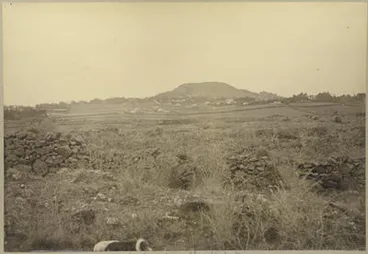 Image: Mt Eden from Three Kings Pa