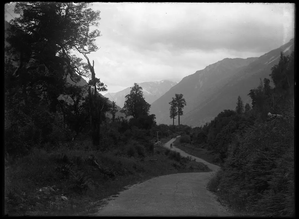 In the Otira valley showing the coach road, and Mt Rolleston in distance.