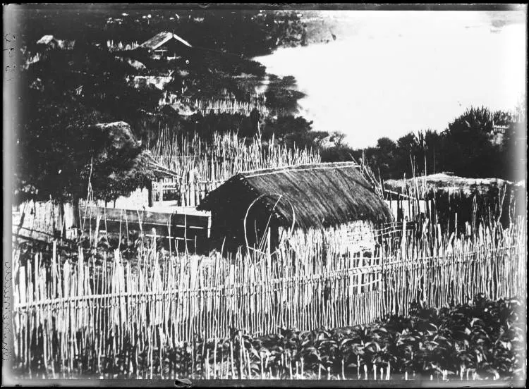 Whare at Ōhinemutu, Rotorua, 1866