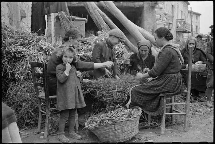 Villagers picking dried beans in area just behind the lines in Italy during World War II - Photograph taken by George Kaye