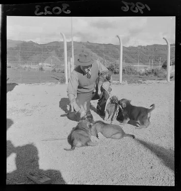Image: Sergeant Riley with police dog puppies, Trentham