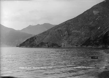 Image: Maud Island - Photograph taken by David James Aldersley