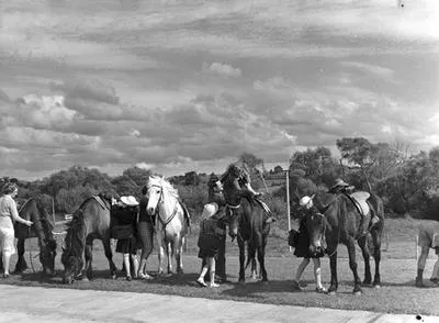 Ararimu, ponies and school children arriving