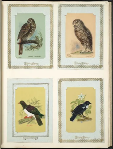 Image: Archibald Dudingston Willis (Firm) :S.I. thrush / Turnagra Crassirostris. Sceloglaux albifacies / Laughing owl. N.Z. pigeon. Tui. [ca 1885]