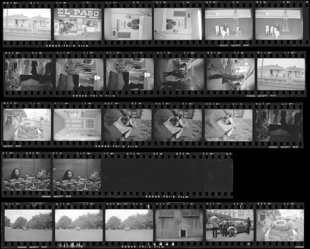 Auckland: Ponsonby; Karangahape Rd; lower Queen St