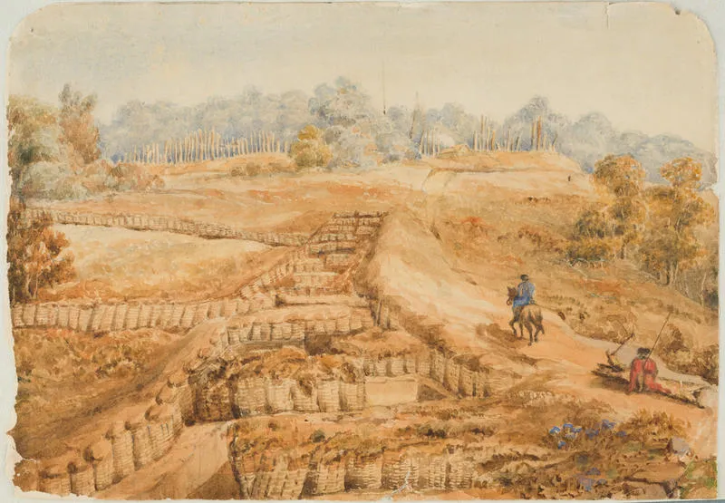 "The Limit of the Sap at Te Arei"