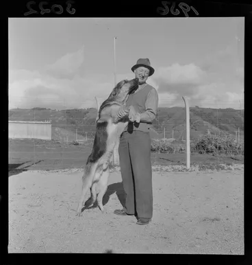 Image: Sergeant Riley with police dog at Trentham