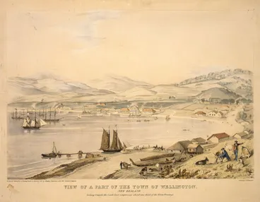 Image: View of a part of the town of Wellington, New Zealand