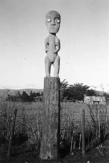 Image: Tekoteko at Papawai