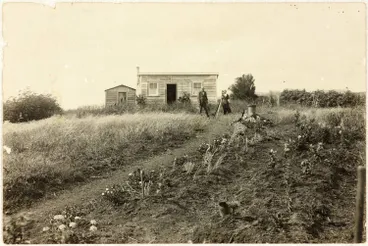 Image: Springhall's house and garden, Swanson
