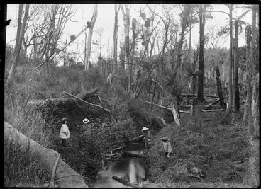 Image: Group at the Adkin property of Cheslyn Rise in Levin, Horowhenua - Photograph taken by Frank J Denton