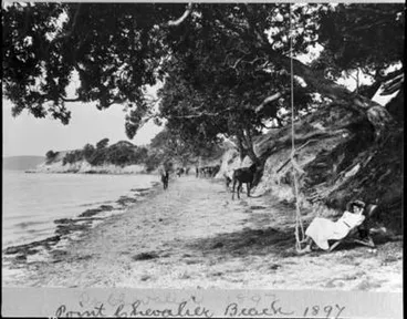 Image: Point Chevalier Beach.