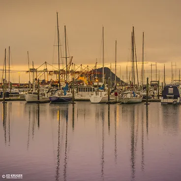 Tauranga New Zealand Image: Tauranga New Zealand