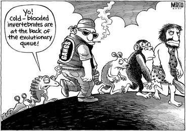 Image: "Yo! cold-blooded invertebrates are at the back of the evolutionary queue," 8 May, 2007