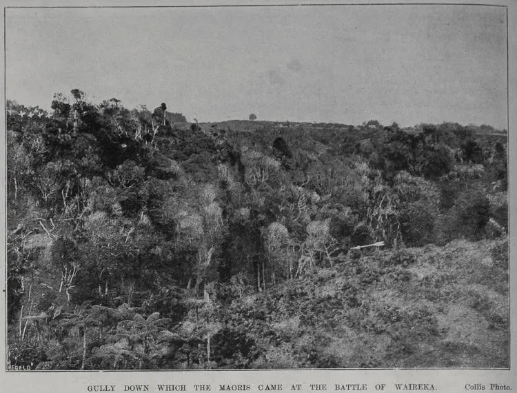 Gully down which the Maoris came at the battle of Waireka