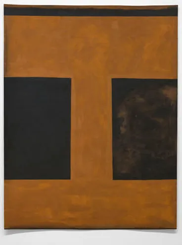 Image: The days and nights in the wilderness: a constant flow of light falls on the land