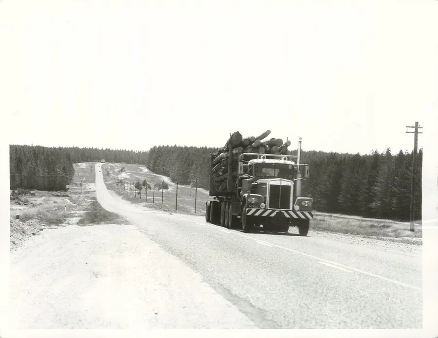 Forestry - Lumber - Transport