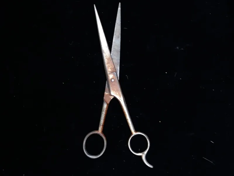 Scissors