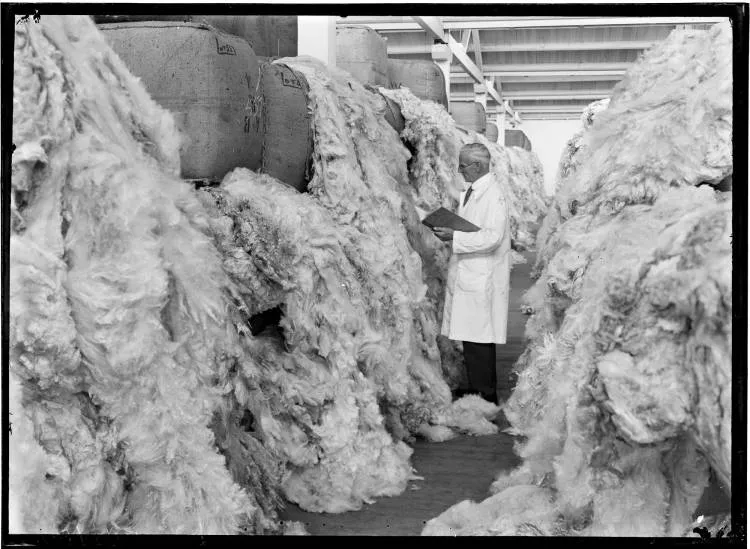 Grading bales of wool