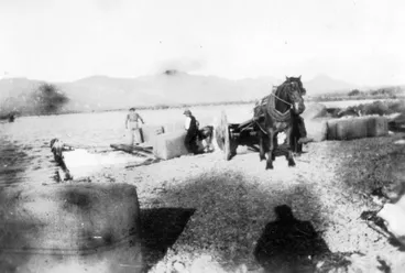 Image: Loading Wool, Cape Runaway