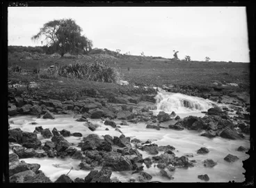 Image: Motion's creek, Western Springs