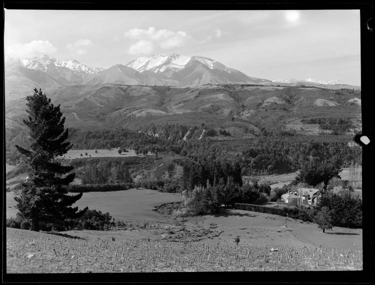 Sherwood Station, Waiau, 1950