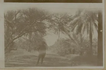 Image: [Man under trees]