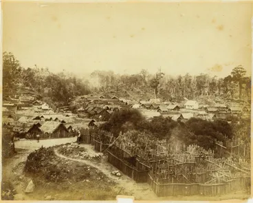 Parihaka Panorama Image: Parihaka Panorama