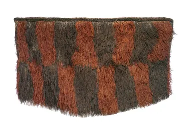 Image: Kahu puakarimu (rain cape)