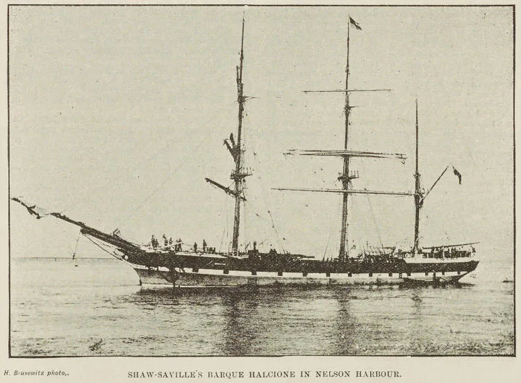 Shaw-Saville's barque Halcione in Nelson harbour